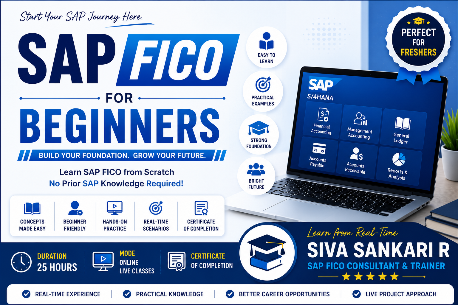 SAP FICO for Beginners